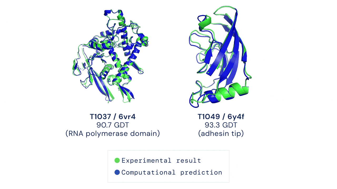 Hình 19. Ví dụ về cấu trúc 3D của chuỗi protein. Nguồn: DeepMind
